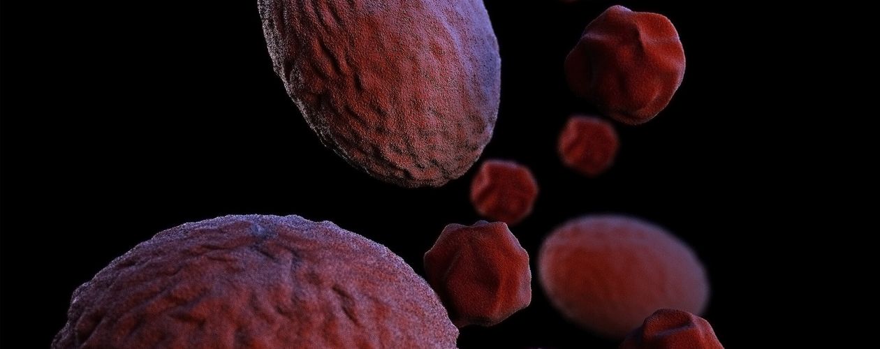 Unsplash image 5j Mo C6 T Inq4