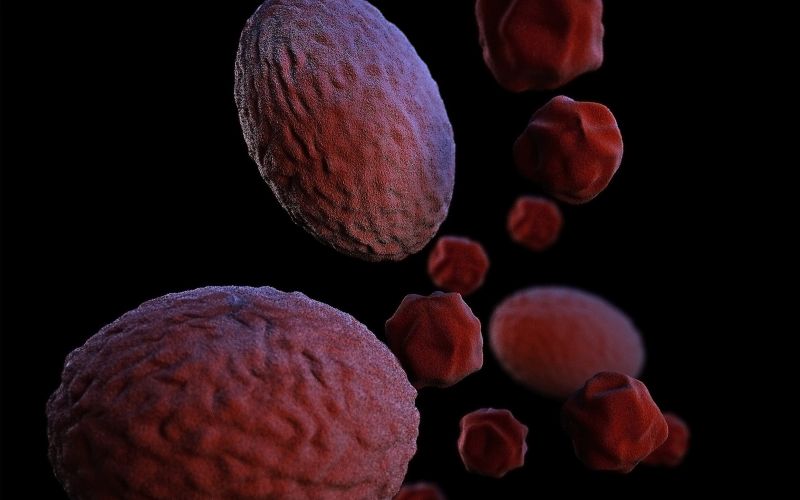 Unsplash image 5j Mo C6 T Inq4